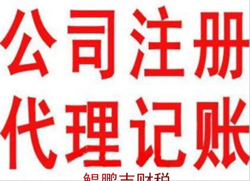一般納稅人申請(qǐng)與商務(wù)顧問(wèn) 一對(duì)一貼心服務(wù)助力企業(yè)成長(zhǎng)